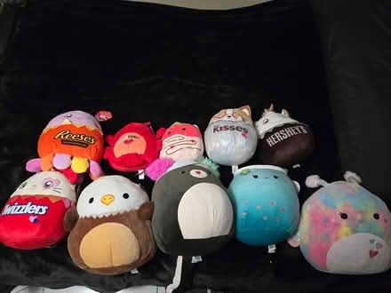 Photo of free Squishmallow Toys (Morningside Road) #1