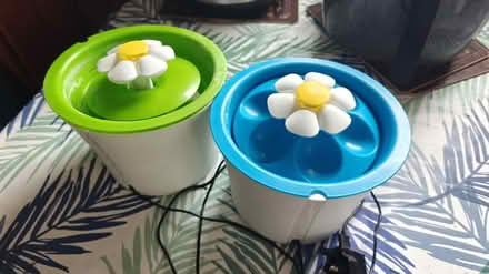 Photo of free Two Cat Water Fountains (Lobley Hill NE11) #1