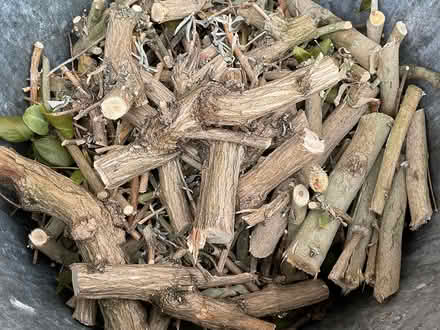 Photo of free Logs (New Barnet EN4) #2