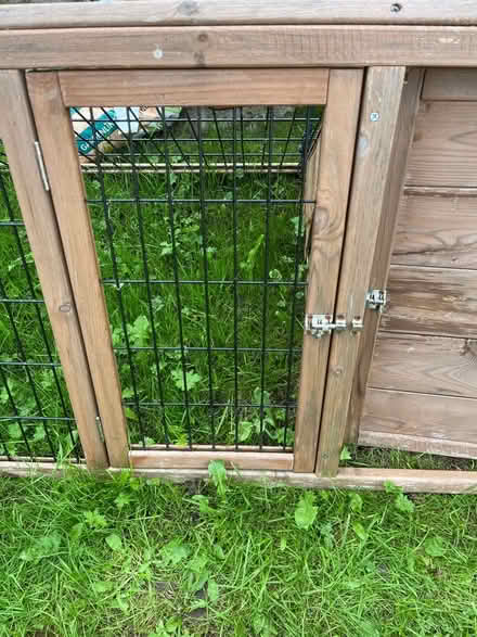 Photo of free Guinea pig run (Sychdyn CH7) #2