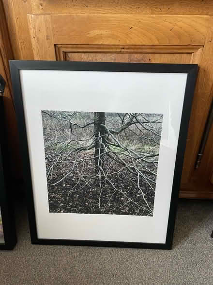 Photo of free Picture frames (Oldfield Park BA2) #2