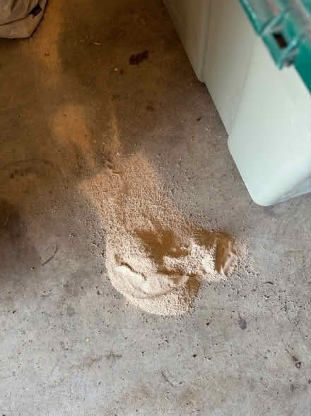 Photo of free Stucco (San Mateo and mountain) #2