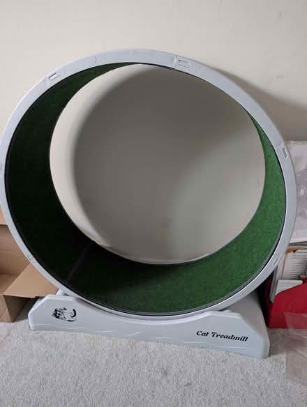 Photo of free Cat treadmill (Hertford SG14) #3