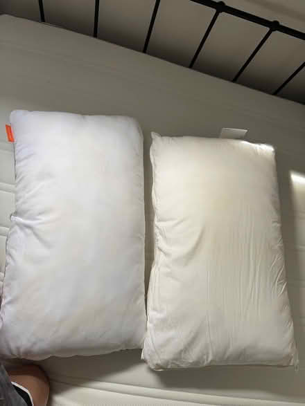 Photo of free Pillows (Fulham SW6) #1