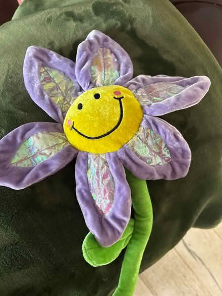 Photo of free Flower (Great baddow cm2) #1