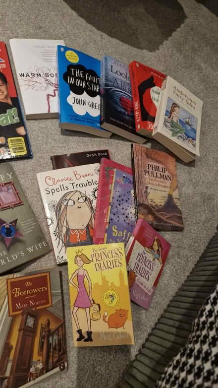 Photo of free 20+ books (Surbiton KT5) #3