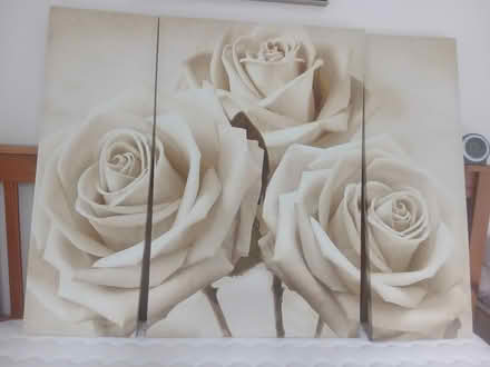 Photo of free set of 3 canvas prints (RG6 Lower Earley) #1