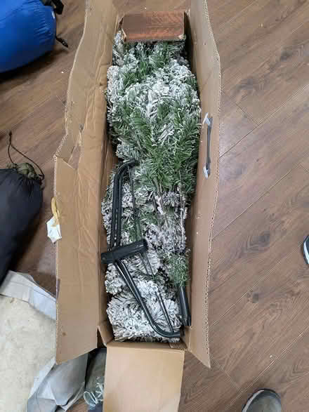 Photo of free 5ft Christmas tree (Bd220qn) #1