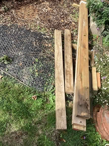 Photo of free Planks of Wood, Shuttering? (selsey PO20) #1