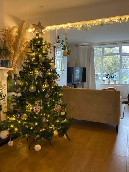 Photo of free 6 foot Christmas tree (Littlemore, OX4) #1