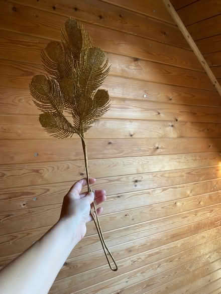 Photo of free Gold glittery things x 10ish (DE56 Belper) #2