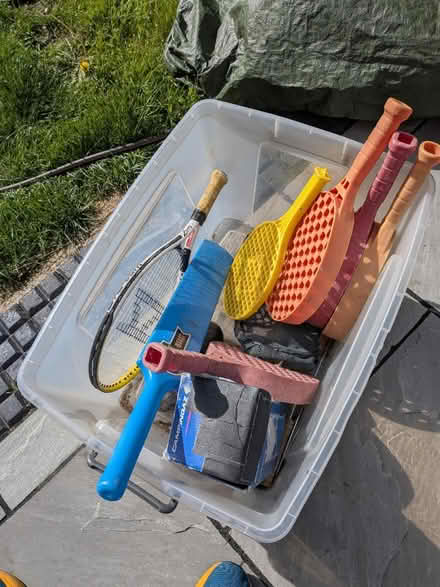 Photo of free Various bats (Loughborough LE11) #1