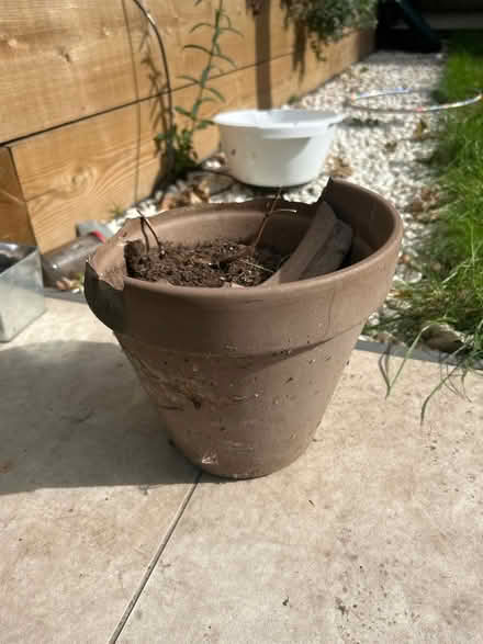 Photo of free Terracotta pot cracked (E12 Manor park) #1