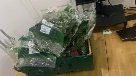 Photo of free Spinach and tiger bread LOTS (Maldon CM9) #1