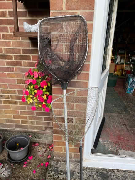 Photo of free Fishing nets (Denvilles PO9) #1
