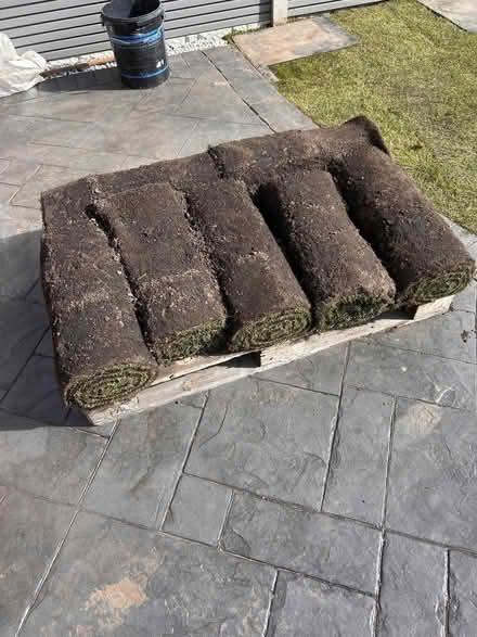 Photo of free Turf (Ormesby TS7) #2