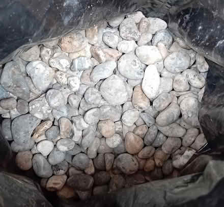Photo of free Mixed Pebbles (Parkstone BH12) #3