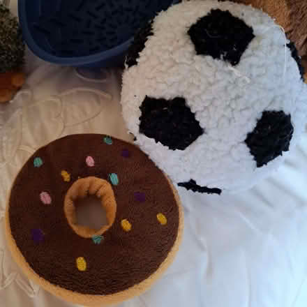 Photo of free Dog toys and bowl (Charminster BH8) #3