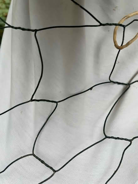 Photo of free Roll of chicken wire (Sydenham SE26) #2