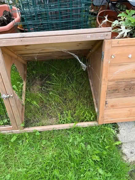 Photo of free Guinea pig run (Sychdyn CH7) #3