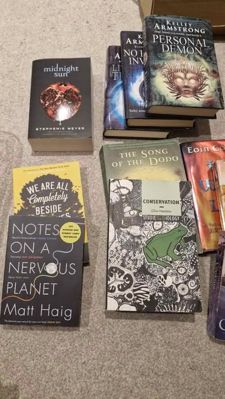 Photo of free 20+ books (Surbiton KT5) #1