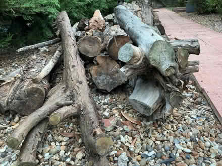 Photo of free Wooden tree trunks (Gidea Park RM2) #1