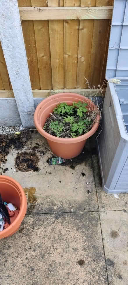 Photo of free Garden box and pots (Nottingham) #3