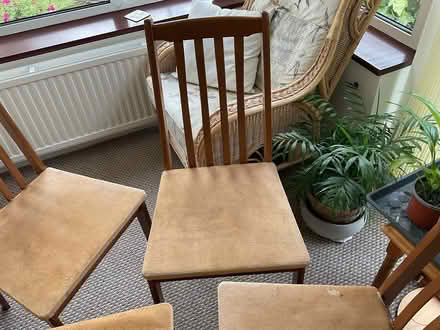 Photo of free Dining room chairs (Culham OX14) #4