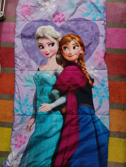 Photo of free Frozen children's sleeping bag (Old Heath CO2) #1