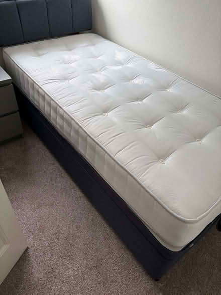 Photo of free Bed (Bridgend CF31) #2