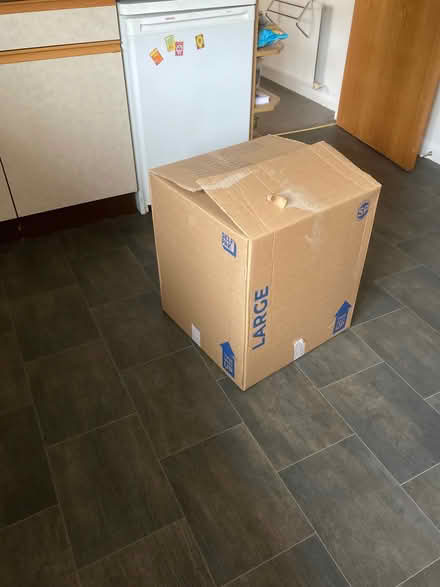 Photo of free medium and Large Packing for moving (Ludlow SY8) #1