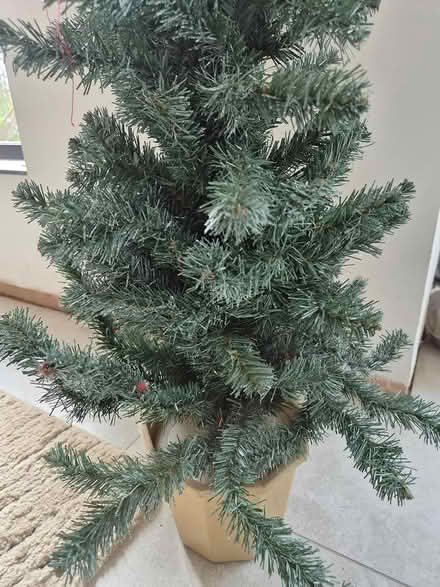 Photo of free Christmas tree (Loughborough) #4