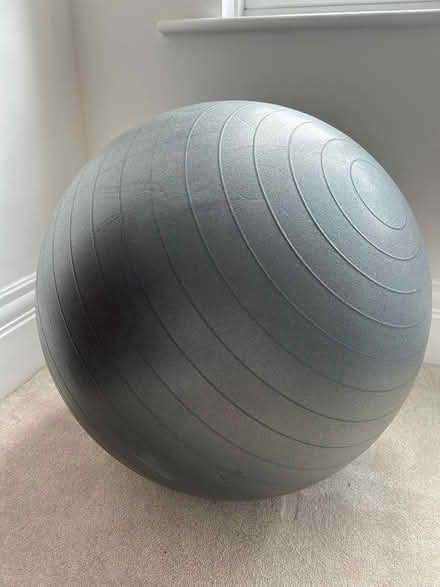 Photo of free Exercise ball (Carter Knowle S7) #1