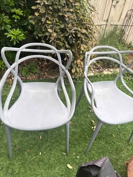 Photo of free 4 Plastic chairs (Rochester ME1) #1