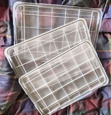 Photo of free Iris Plastic Box Lids/Large Trays 590 x 390mm (Margate CT9) #1