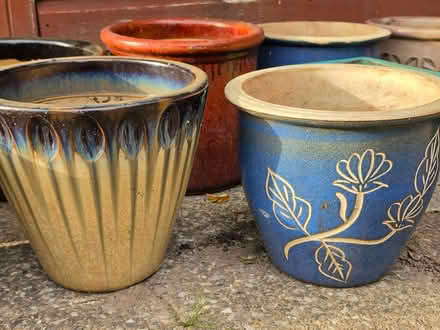 Photo of free Plant pots for the garden (CH60) #3