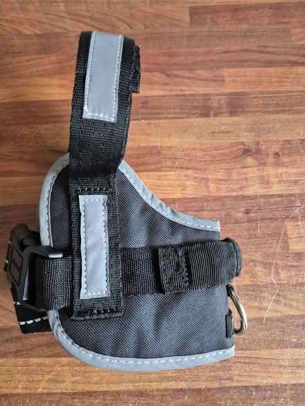 Photo of free Dog Harness (Bearwood. BH11) #2