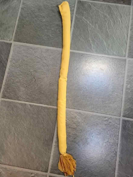Photo of free Lion tail for fancy dress/Halloween costume (Shenley Fields B29) #2