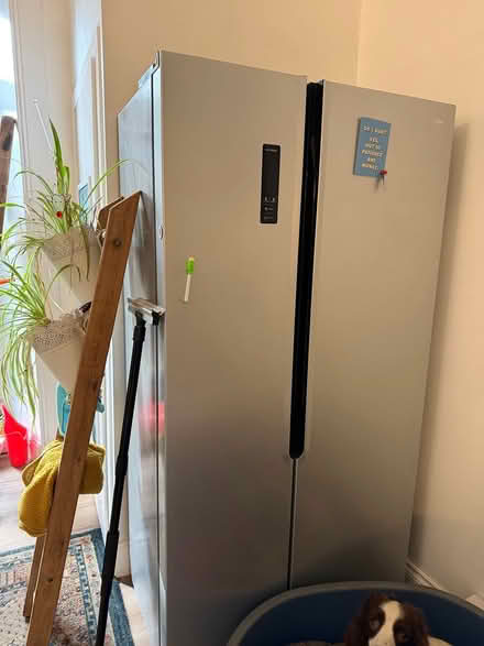 Photo of free American style fridge freezer (Alloa FK10) #1
