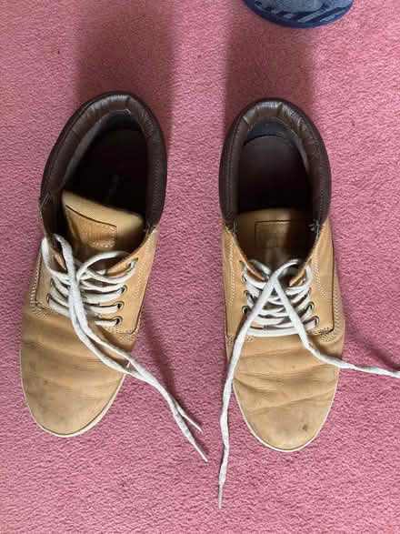 Photo of free UK7 timberland (Bookham KT23) #1