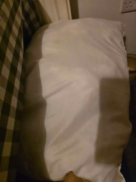 Photo of free Pillow (Stonehouse GL10) #1