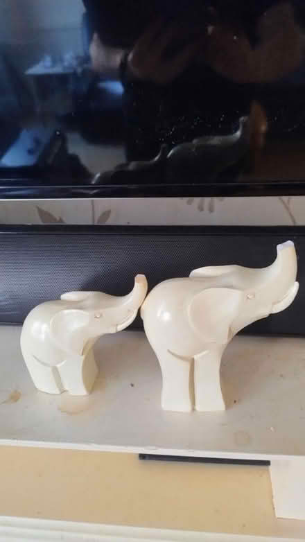 Photo of free Elephants (Chorley centre PR7) #1