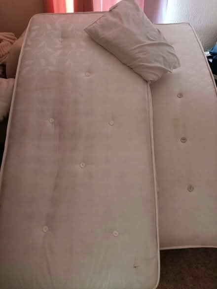 Photo of free Mattresses (Shotton CH5) #1