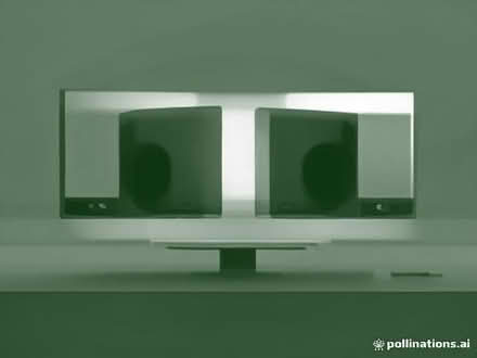 Photo of free 2 x Dell Computer Monitors (Strood ME2) #1