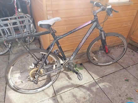 Photo of free Woman/girl's bike (Upper Wolvercote OX2) #1