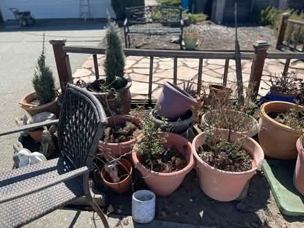 Photo of free Garden pots! Many (Novato) #3