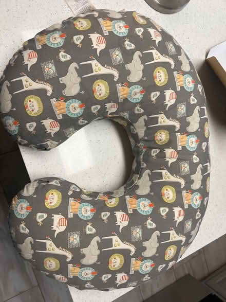 Photo of free Nursing pillow (Nob Hill) #1