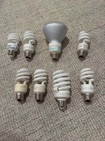 Photo of free New incandescent light bulbs (Ravenswood/Lakeview) #1