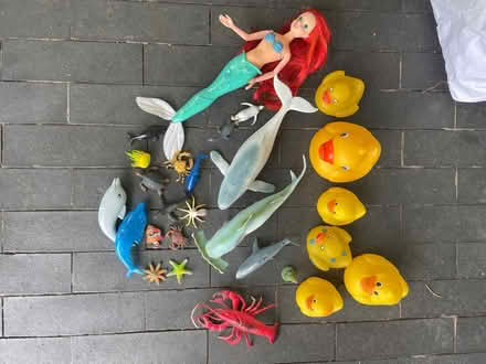 Photo of free Bath toys (North Road BA2) #1