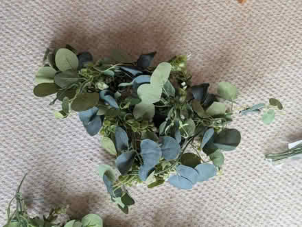 Photo of free Fake flowers (Covingham, Swindon) #3
